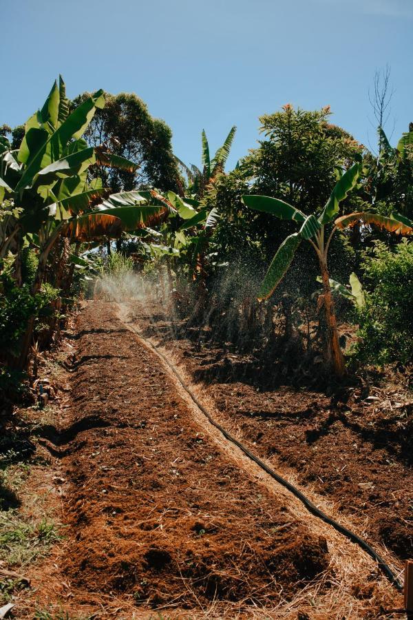 Hotel Vegano Bona Espero Alto Paraíso de Goiás Eksteriør billede